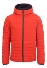 Двусторонняя мужская куртка Icepeak EP ARAGON 200 г 56057-4, тёмно-синяя /красная цена и информация | Мужские куртки | kaup24.ee