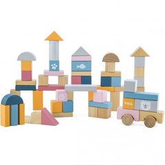 Цветные деревянные кубики 60шт Viga PolarB цена и информация | Конструкторы и кубики | kaup24.ee