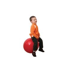 Hüppepall Känguru ⌀55, laste hind ja info | Arendavad mänguasjad | kaup24.ee