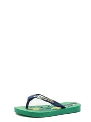 Шлепанцы для мальчика IPANEMA 0422497, зелёные/синие цена и информация | Детские тапочки, домашняя обувь | kaup24.ee