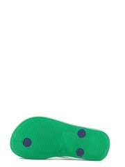 Шлепанцы для мальчика IPANEMA 0422497, зелёные/синие цена и информация | Детские тапочки, домашняя обувь | kaup24.ee