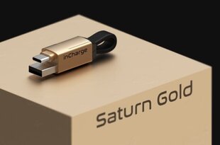 InCharge 6 Saturn Gold цена и информация | Кабели и провода | kaup24.ee