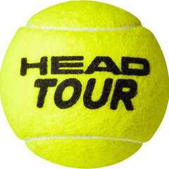 Tennisepallid Head Tour, 4 tk hind ja info | HEAD Sport, puhkus, matkamine | kaup24.ee