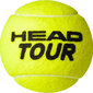Tennisepallid Head Tour, 4 tk цена и информация | Välitennise tooted | kaup24.ee