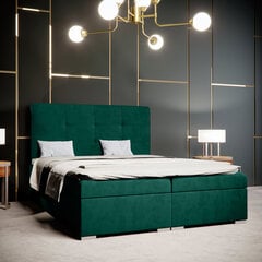 Кровать Selsey Bongiorno 140x200 см, зеленая цена и информация | Кровати | kaup24.ee