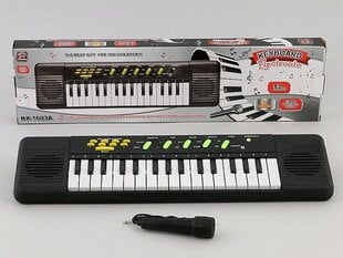 Детский синтезатор с микрофоном 11837 цена и информация | Развивающие игрушки | kaup24.ee