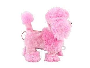 K'ndiv koer koos puldiga 11080 hind ja info | Arendavad mänguasjad | kaup24.ee