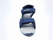Kangaroos K-Celtic sandaalid, sinine цена и информация | Laste sandaalid | kaup24.ee
