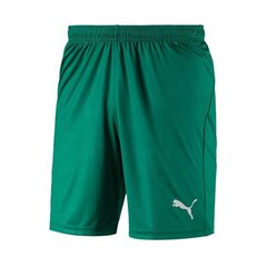 Футбольные шорты Puma Liga Shorts Core Pepper Green цена и информация | Мужская спортивная одежда | kaup24.ee