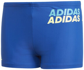 Плавки Adidas Yb Lin Brief Blue цена и информация | Плавки для мальчиков | kaup24.ee