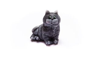 Glütseriinseep Cheshire kass, kingitus, 3Dsoap, 100 g, hind ja info | Seebid | kaup24.ee