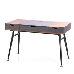 Письменный стол Homede Faryn, коричневый/черный цена и информация | Компьютерные, письменные столы | kaup24.ee