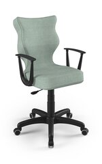 Офисное кресло Entelo Norm DC20, светло-зеленое цена и информация | Офисные кресла | kaup24.ee