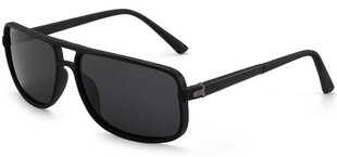 Päikeseprillid Label P1203 Polarized hind ja info | Meeste päikeseprillid | kaup24.ee