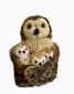 Käpiknukk Öökull kolme lapsega, The Puppet Company PC003025 Mammy Owl and Three Owlets Puppet Set цена и информация | Pehmed mänguasjad | kaup24.ee