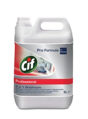 Tualettruumi puhastusvahend CIF PROFESSIONAL WASHROOM 2in1 (5 l kontsentraat) hind ja info | Puhastusvahendid | kaup24.ee