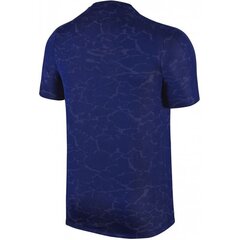 Мужская спортивная футболка Nike Flash CR7 M 777544-455 (43287) цена и информация | Мужская спортивная одежда | kaup24.ee