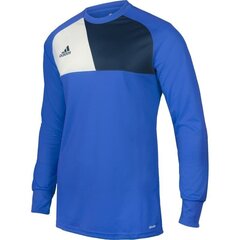 Футболка вратаря для мальчиков Adidas Assita 17 Junior, синяя цена и информация | Рубашки для мальчиков | kaup24.ee