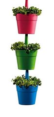 Istutuspottide komplekt Rainbow Planter 3 tk, sinine/roheline/roosa цена и информация | Вазоны | kaup24.ee