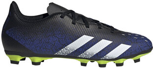 Adidas Jalgpall Predator Freak 4FxG Black Blue hind ja info | Jalgpallijalatsid | kaup24.ee