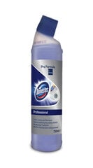 Vannitoa puhastusvahend Domestos Professional Toilet Limescale remover, 750 ml hind ja info | Puhastusvahendid | kaup24.ee