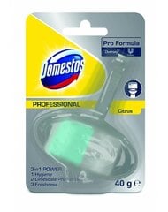 WC-värskendaja DOMESTOS RIM BLOCK CITRUS, 40 g hind ja info | Puhastusvahendid | kaup24.ee