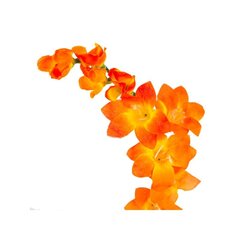 Kunstlill freesia, 5 tk. hind ja info | Kunstlilled | kaup24.ee