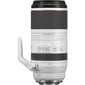 Canon RF 100-500mm f/4.5-7.1L IS USM hind ja info | Objektiivid | kaup24.ee