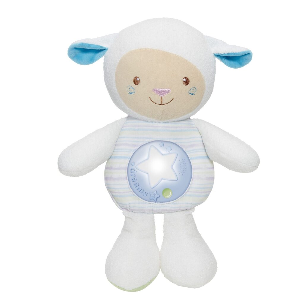 Muusikaprojektorilambad Chicco First Dreams Lullaby Sheep Nightlight, sinine цена и информация | Imikute mänguasjad | kaup24.ee