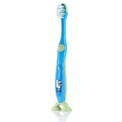 Brush Baby Flossbrush hambahari vanusele 3-6 (sinine) hind ja info | Suuhügieen | kaup24.ee