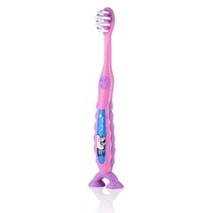 Brush Baby Flossbrush hambahari vanusele 3-6 (roosa) цена и информация | Для ухода за зубами | kaup24.ee