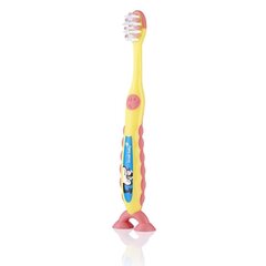 Brush Baby Flossbrush hambahari vanusele 3-6 (kollane) цена и информация | Для ухода за зубами | kaup24.ee