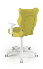 Офисное кресло Entelo Duo DC19 6, зеленое/белое цена и информация | Офисные кресла | kaup24.ee