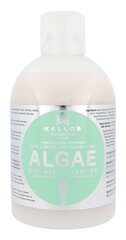 Kallos Algae niisutav šampoon 1000 ml цена и информация | Шампуни | kaup24.ee