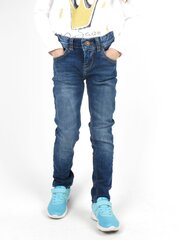 Poiste teksad hind ja info | Tüdrukute retuusid, püksid | kaup24.ee