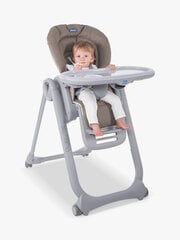 Chicco стульчик для кормления Polly Magic Relax, Graphite цена и информация | Стульчики для кормления | kaup24.ee