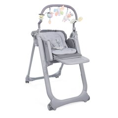 Chicco стульчик для кормления Polly Magic Relax, Graphite цена и информация | Стульчики для кормления | kaup24.ee