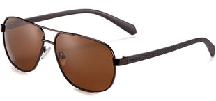 Солнцезащитные очки Label P1209 Polarized цена и информация | Солнцезащитные очки для мужчин | kaup24.ee