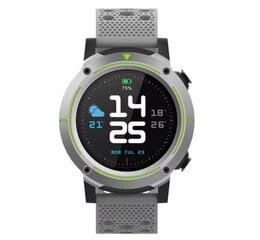 Denver SW-510, Grey цена и информация | Смарт-часы (smartwatch) | kaup24.ee