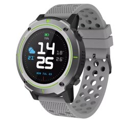 Denver SW-510, Grey цена и информация | Смарт-часы (smartwatch) | kaup24.ee