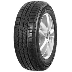 Michelin Agilis 51 Snow ice 215/65R15 104/102T C цена и информация | Зимняя резина | kaup24.ee