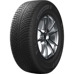 Pilot Alpin 5 SUV 106 H ( - - - ) Michelin 225/65R17 цена и информация | Зимние шины | kaup24.ee