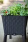 Keter aia taimekast "Easy Growing" 120 l 229098 hind ja info | Dekoratiivsed lillepotid | kaup24.ee