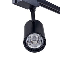 Светодиодный акцентный светильник 30Вт 4000К монтируется на однофазную рейку. цена и информация | Трековые светильники и шинопроводы | kaup24.ee