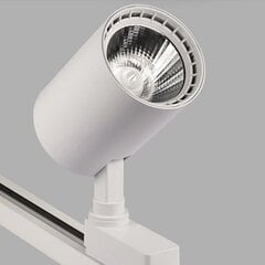 LED-aktsentvalgusti 30W 4000K, süvistatud ühefaasilisse siini hind ja info | Siinivalgustid ja siinid | kaup24.ee