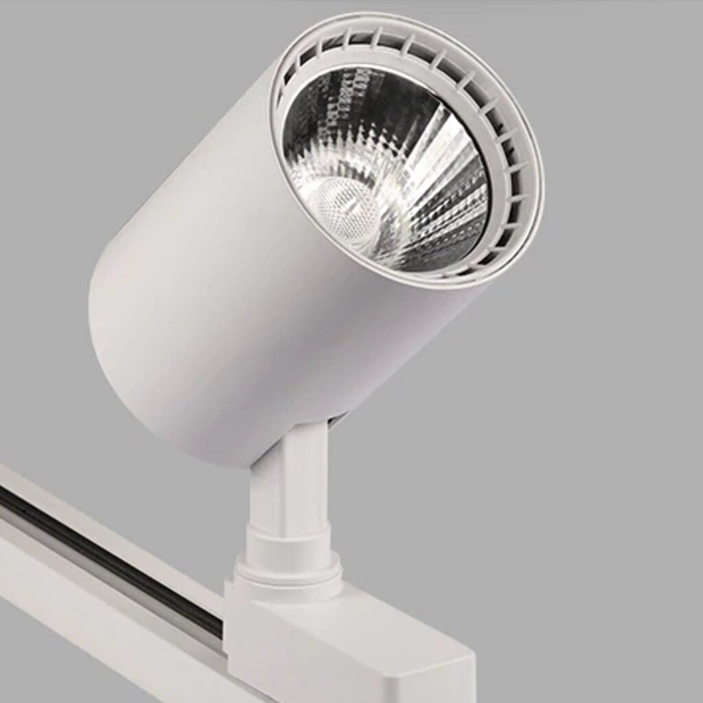 LED-aktsentvalgusti 30W 4000K, süvistatud ühefaasilisse siini цена и информация | Siinivalgustid ja siinid | kaup24.ee