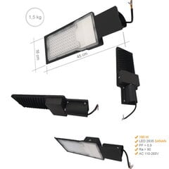 Уличный фонарь 100 Вт IP65 6000K цена и информация | Уличное освещение | kaup24.ee