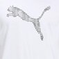 Puma T-särgid Cat Basic Tee, valge hind ja info | Meeste T-särgid | kaup24.ee