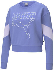 Джемпер Puma Rebel Crew TR Haz Purple цена и информация | Женские толстовки | kaup24.ee