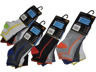 Комплект мужских спортивных носков ProHike Perfomance, 12 пар цена и информация | Мужские носки | kaup24.ee